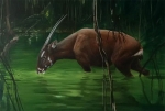 Linh vật SEA Games 31 - loài thú cổ đại được cho là bí ẩn nhất thế giới