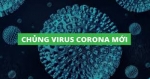 Vì sao virus corona lây quá nhanh?